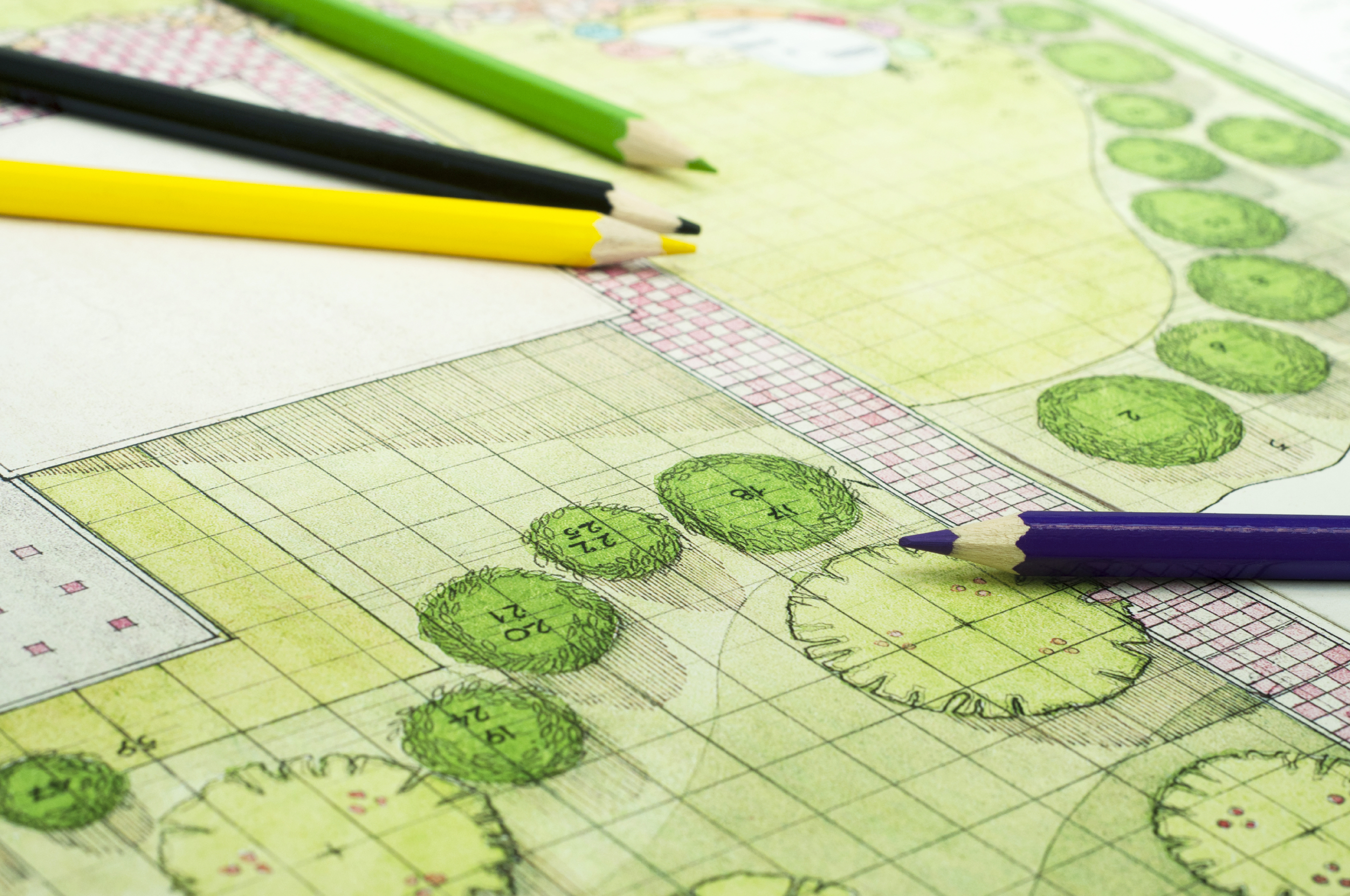 Hoa Landscape Rfp Template