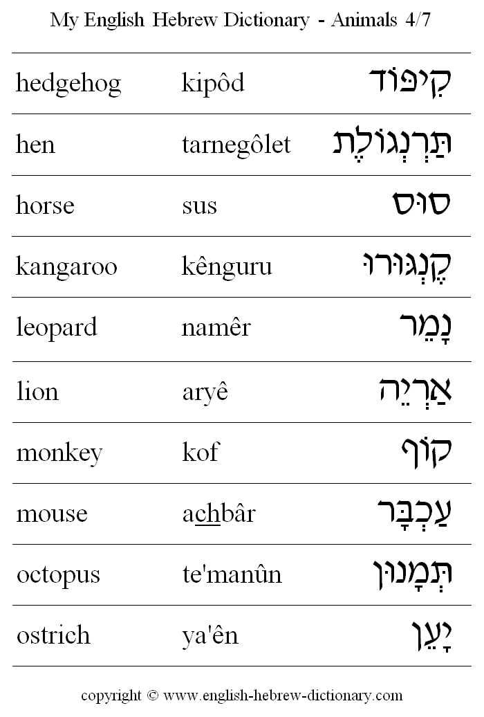 My English Hebrew Dictionary Animals Vocabulary 4