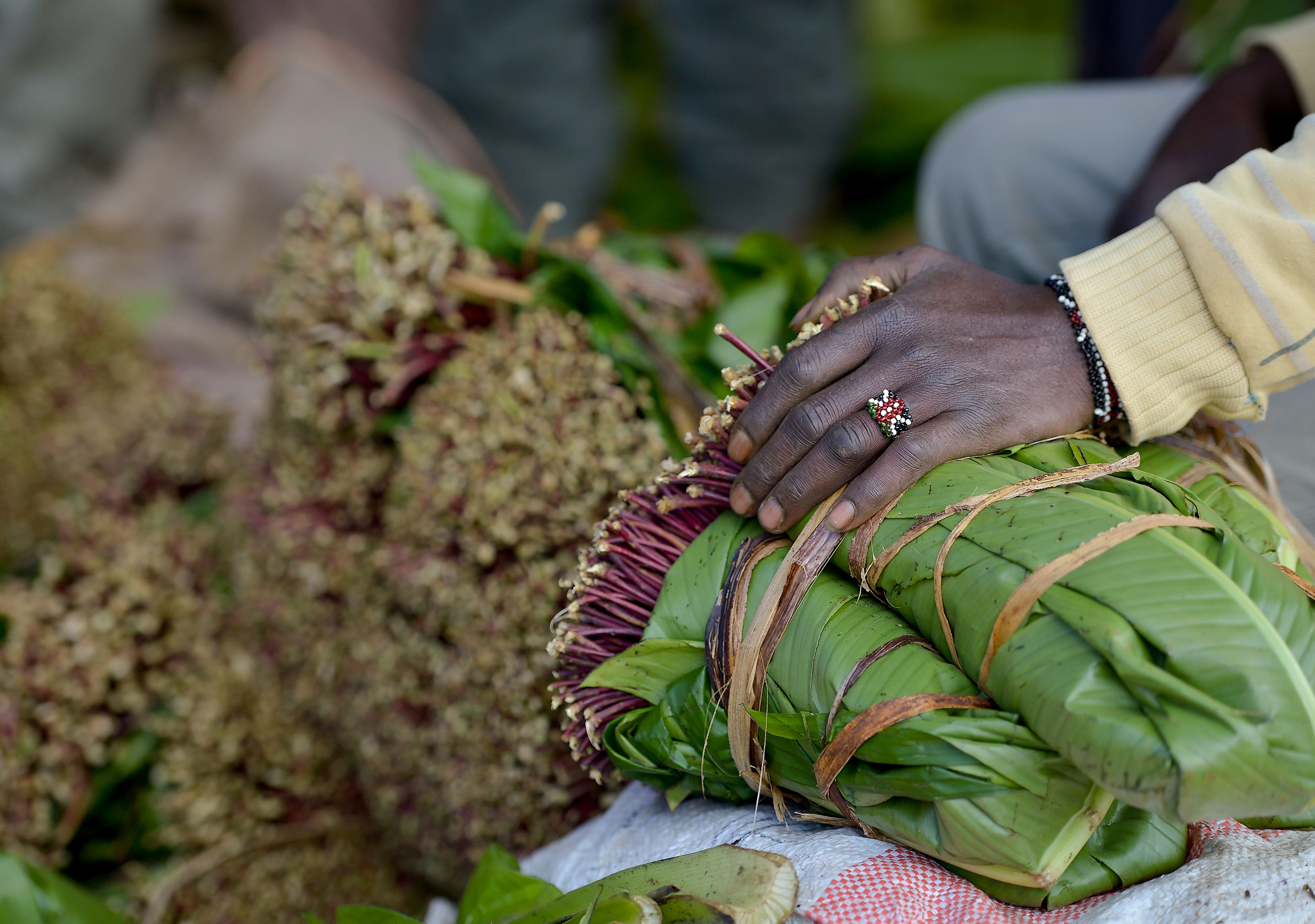 Somalia to lift Kenyan khat ban as relations between countries improve