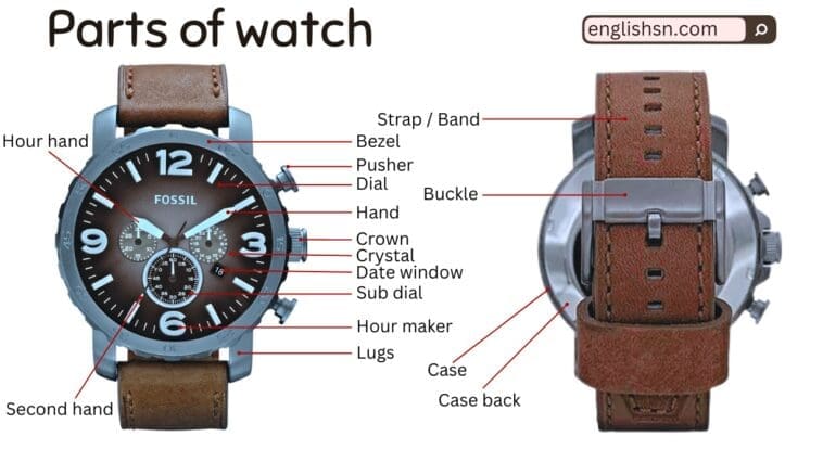 Labeled Parts of a Watch • Englishan