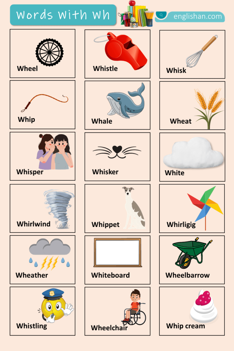 Words with Wh with Their Pictures • Englishan