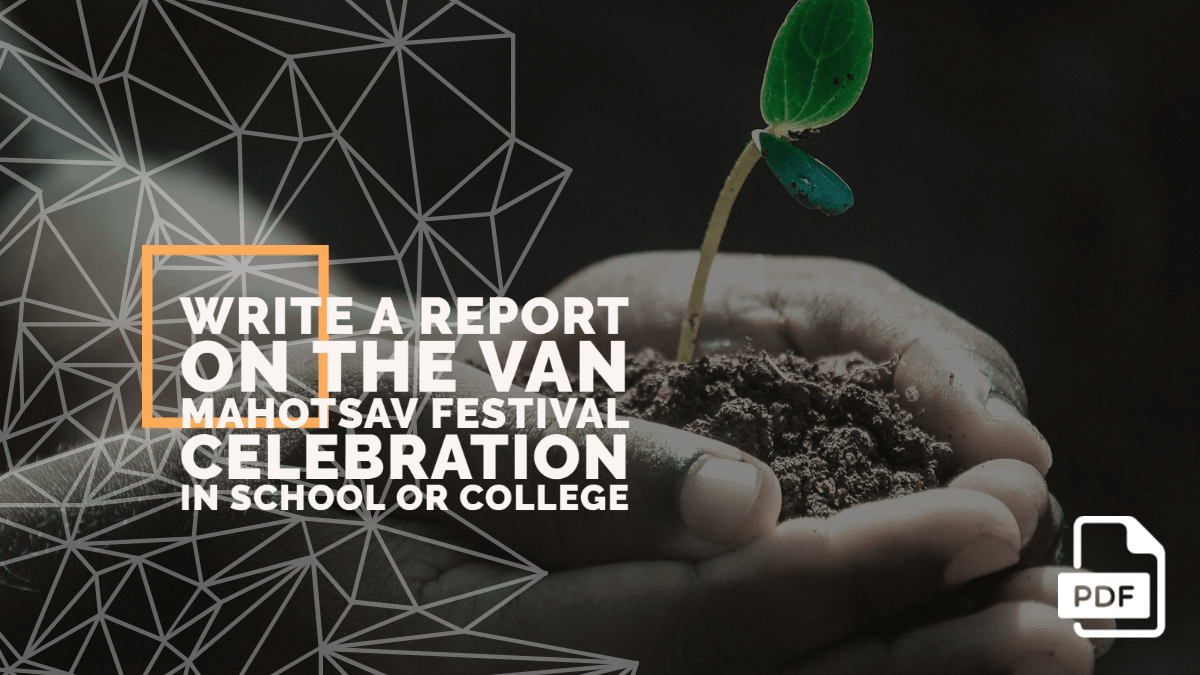 Write a Report on the Van Mahotsav Festival Celebration in School or