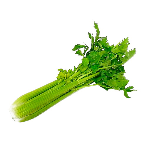 50 Vegetable Names in Hindi and English with Pronunciation फलों के