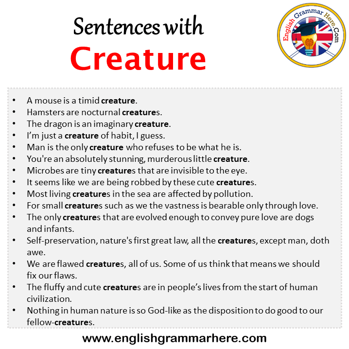 Sentences with Designate, Designate in a Sentence in English, Sentences