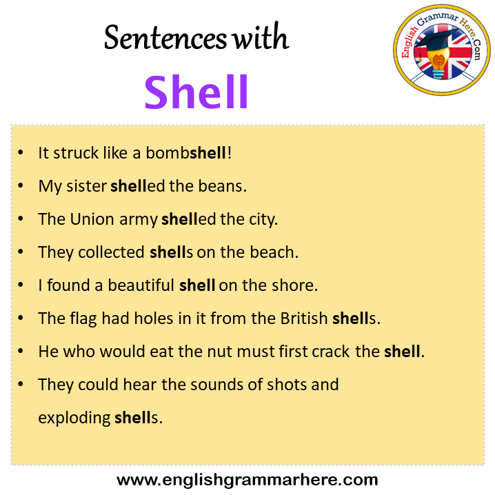 Sentences with Shell, Shell in a Sentence in English, Sentences For