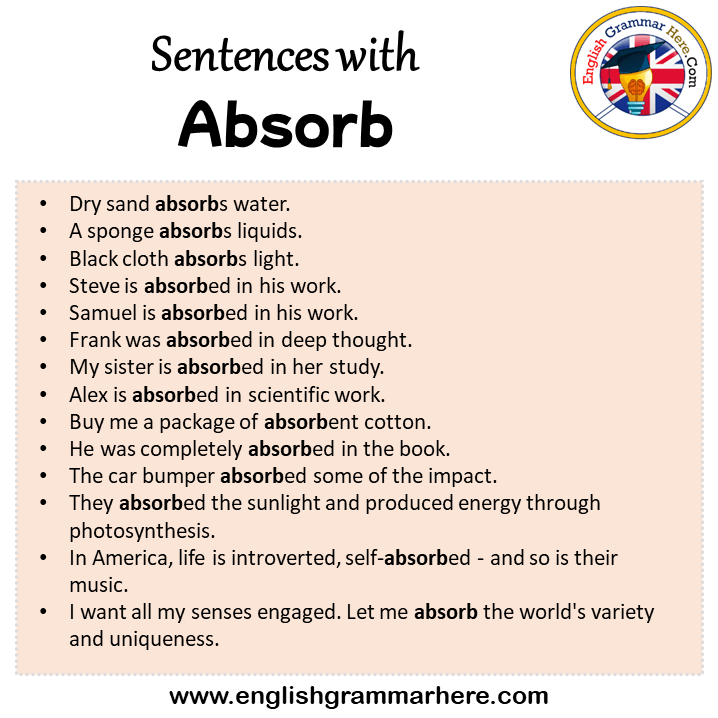 Sentences with Absorb, Absorb in a Sentence in English, Sentences For