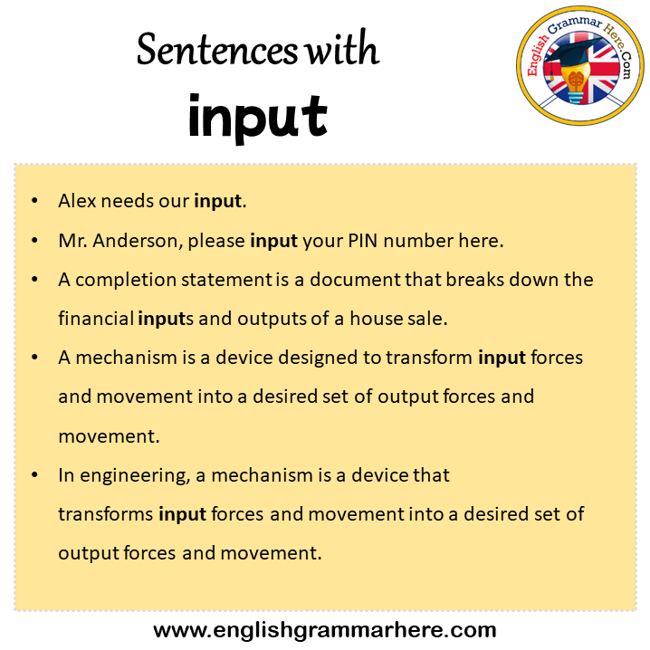 Sentences with input, input in a Sentence in English, Sentences For