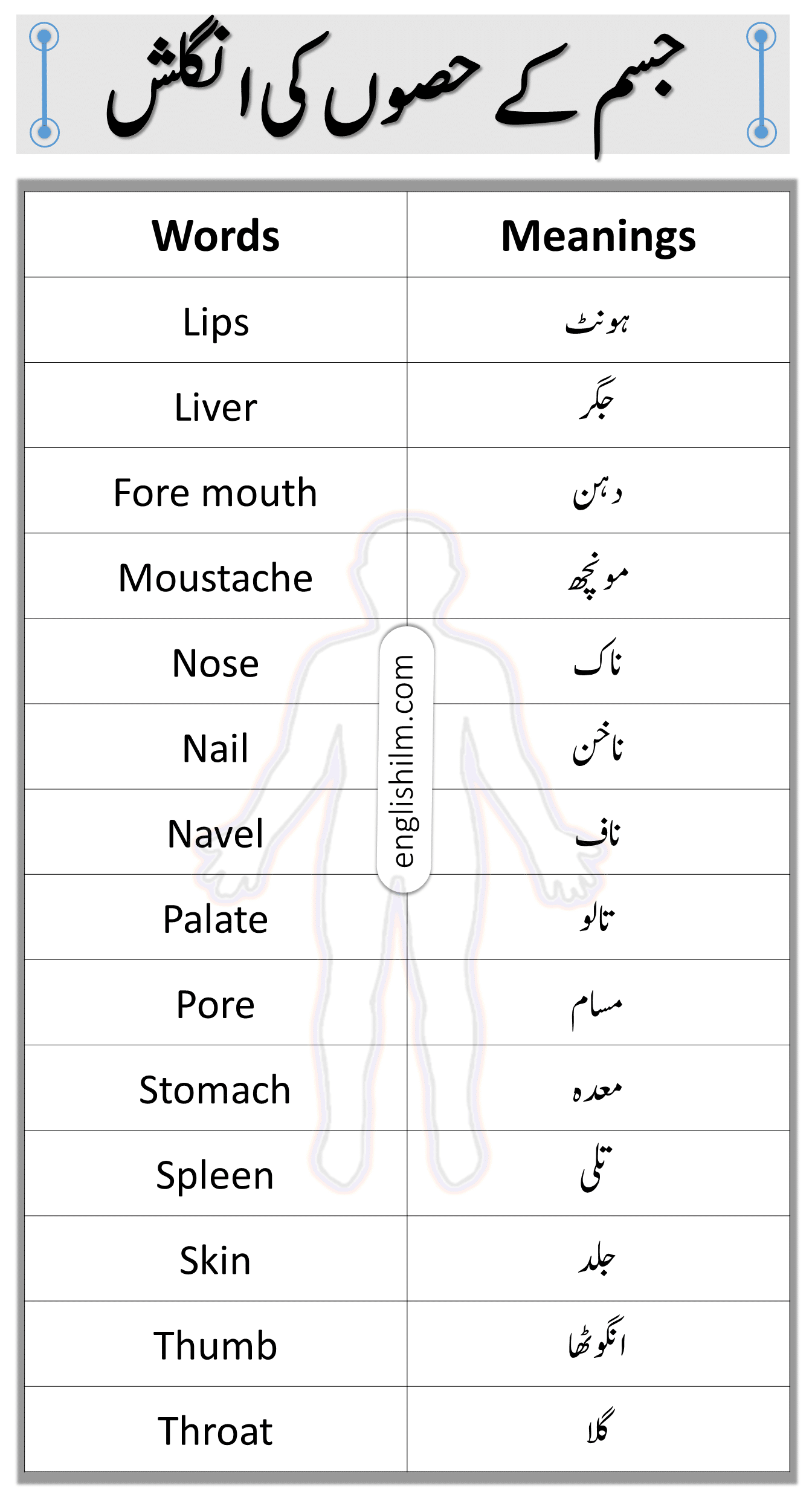 Lips Synonyms In Urdu