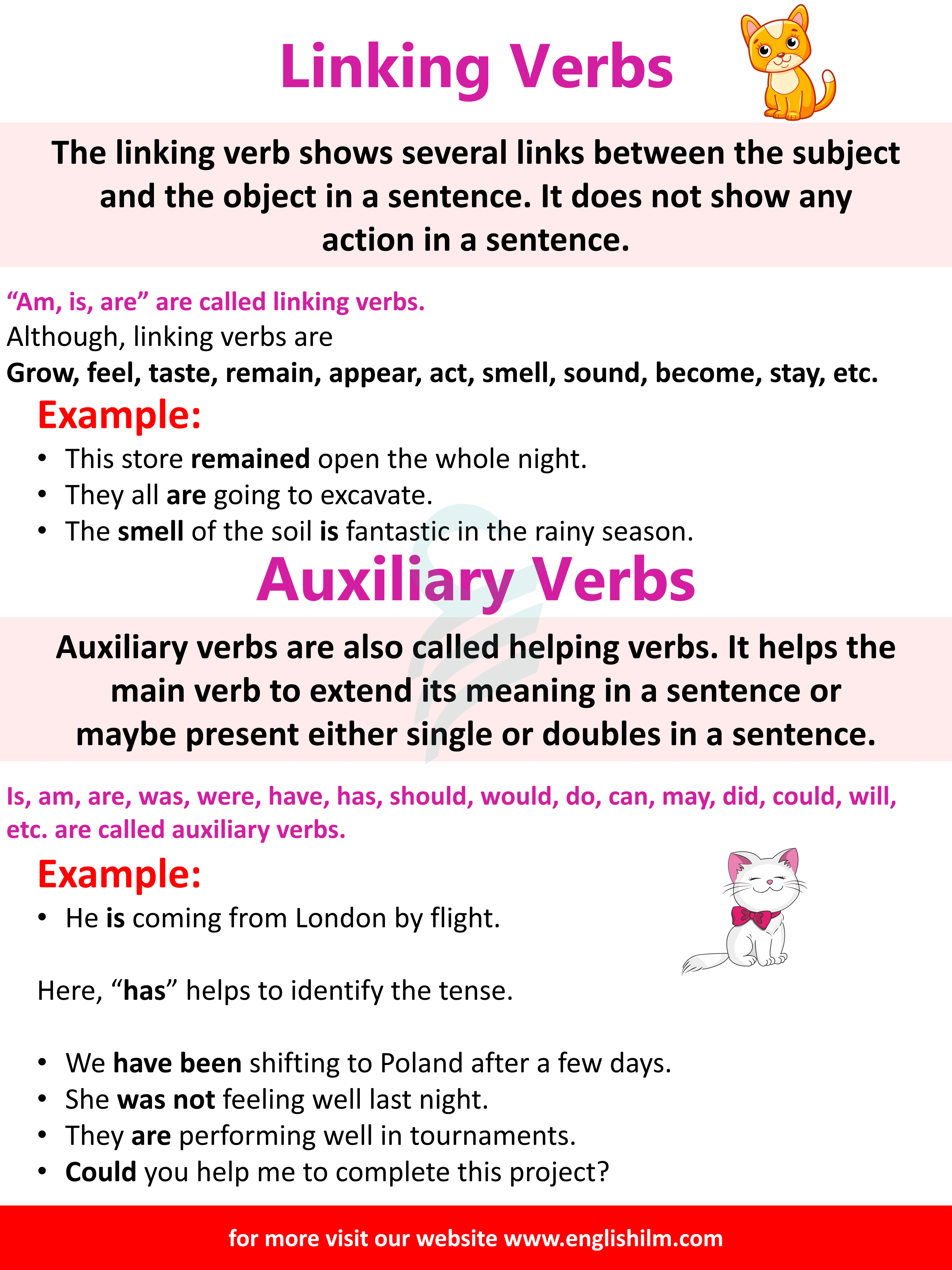Verb Definition, Types, and Helpful Examples in English Grammar
