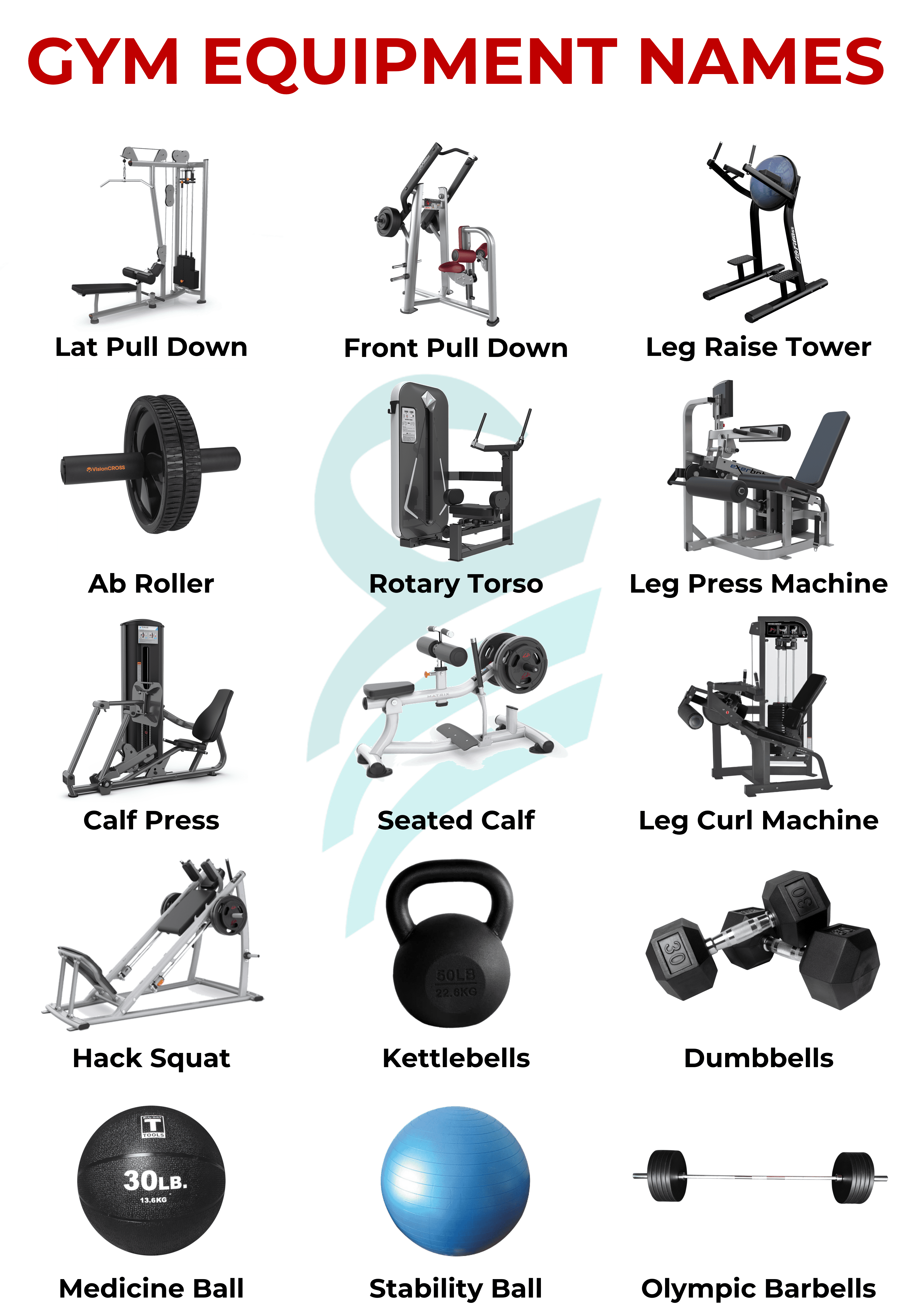 Gym Equipment's in English with Images Picture Vocabulary