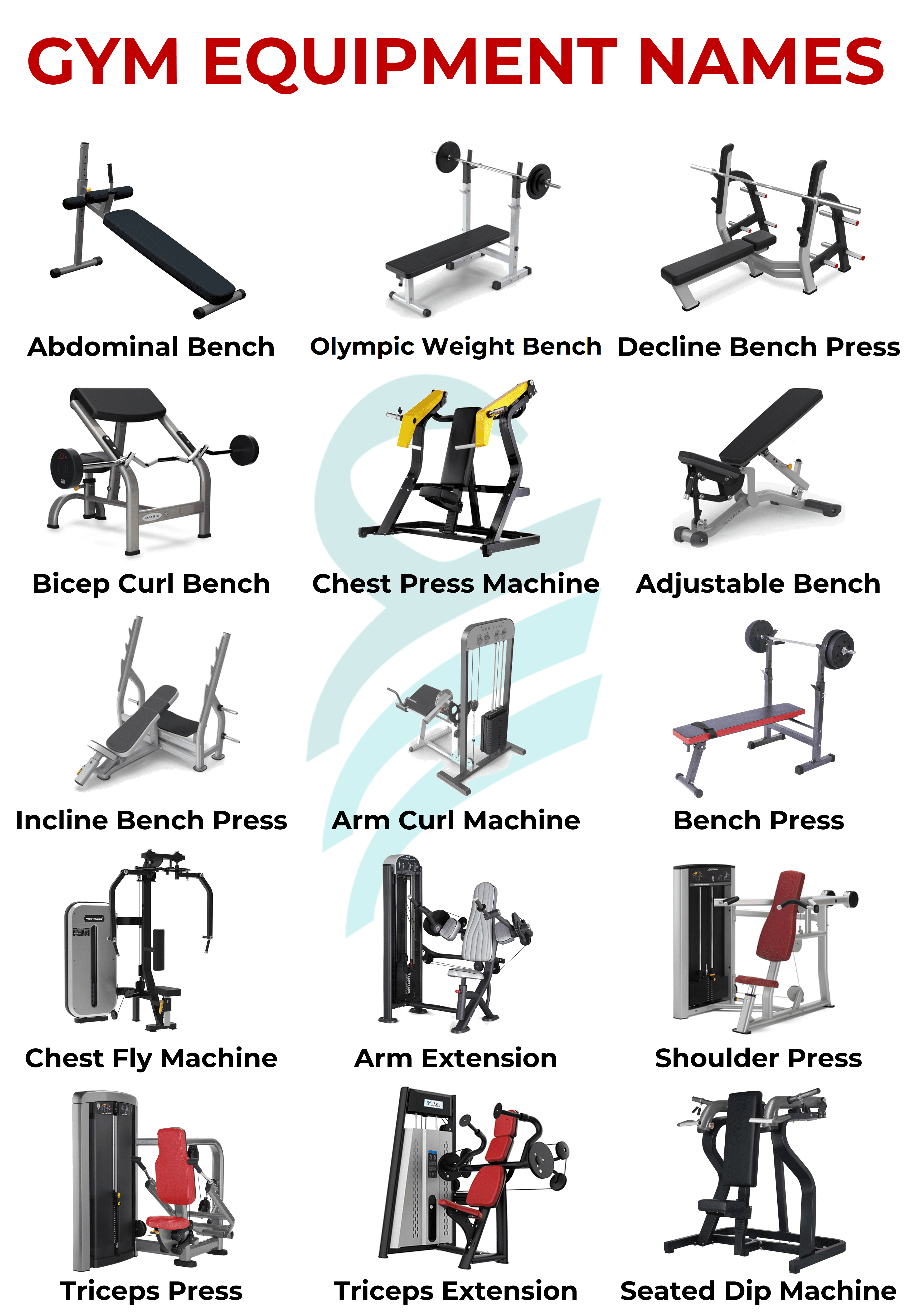 Gym Equipment's in English with Images Picture Vocabulary