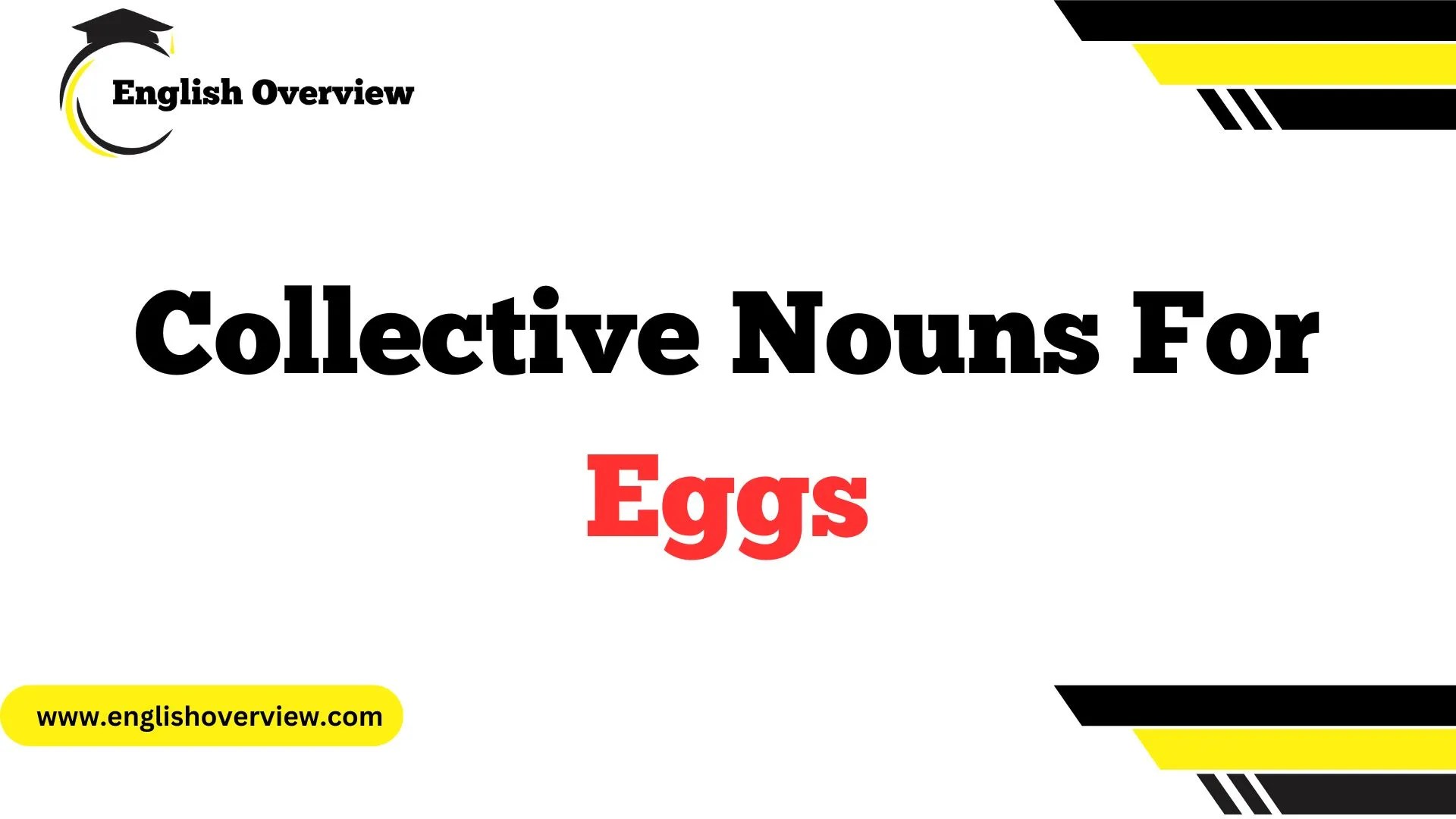 What is the Collective Nouns for Eggs