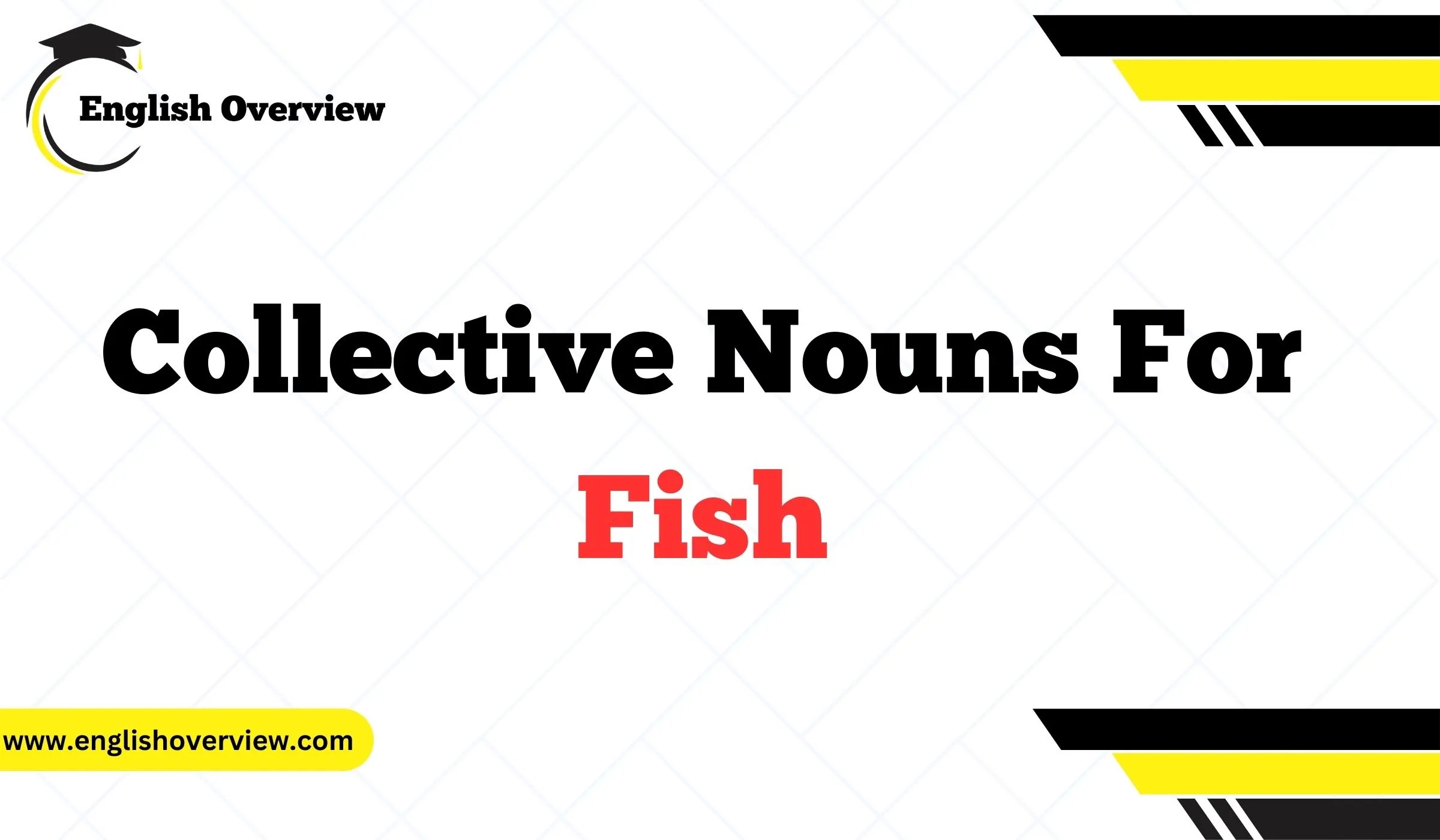 What is the Collective Nouns for Fish