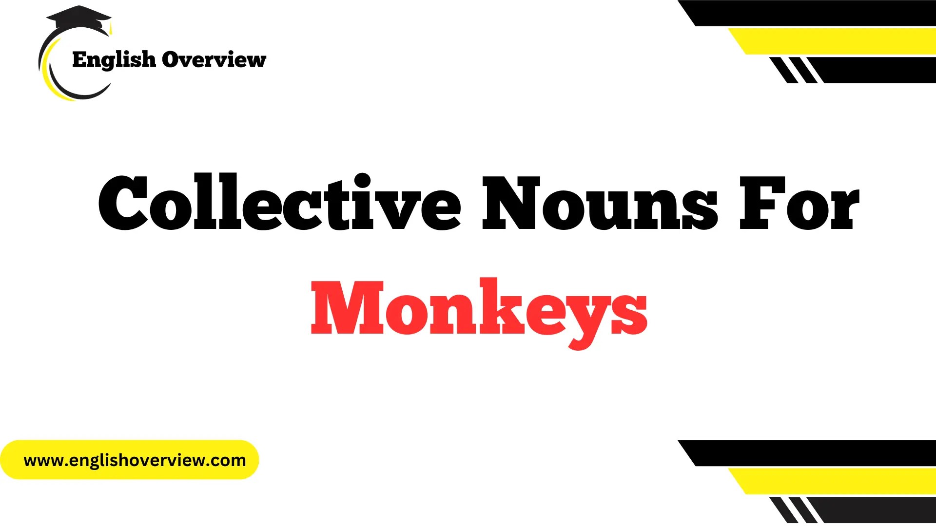 What is the Collective Nouns for Monkeys