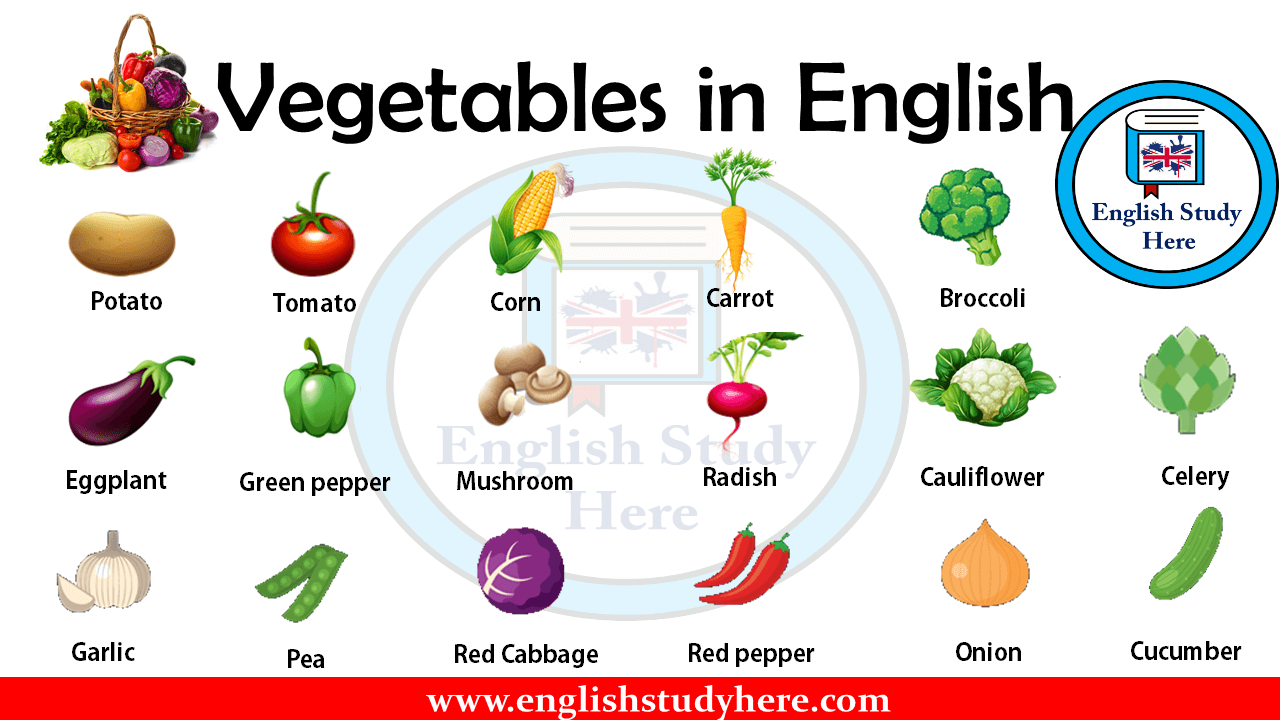 Vegetables in English English Study Here