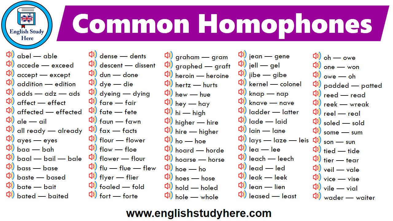 Common Homophones English Study Here