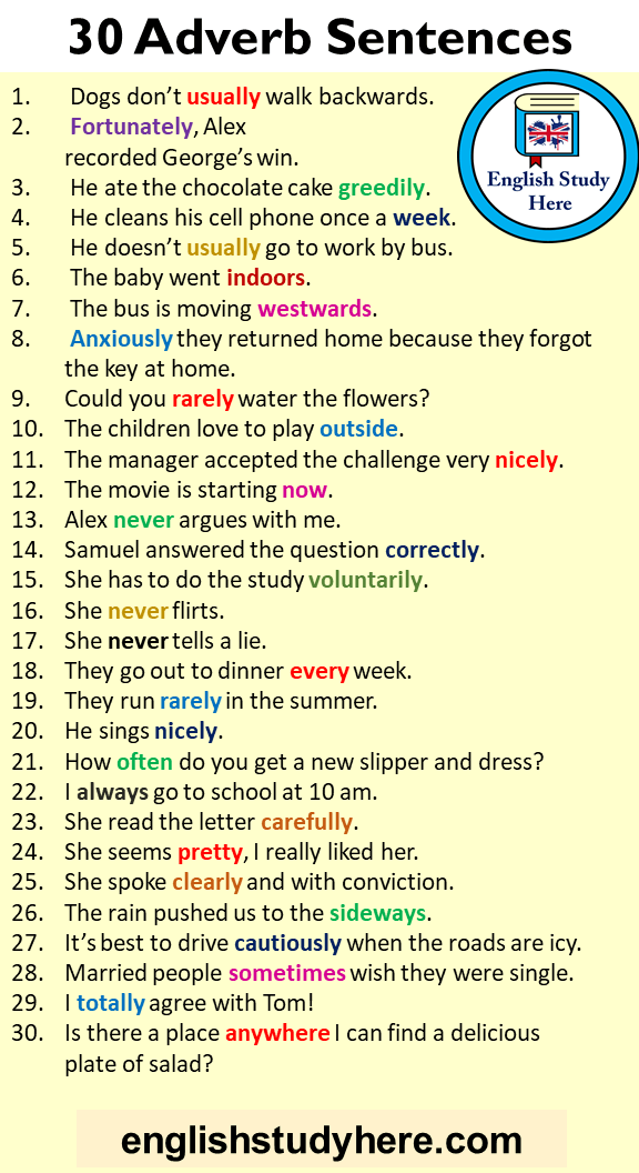 30 Adverb Sentences, Example Sentences with Adverbs in English