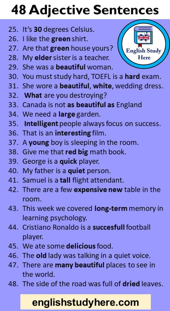 48 Adjective Sentences, Example Sentences with Adjectives English