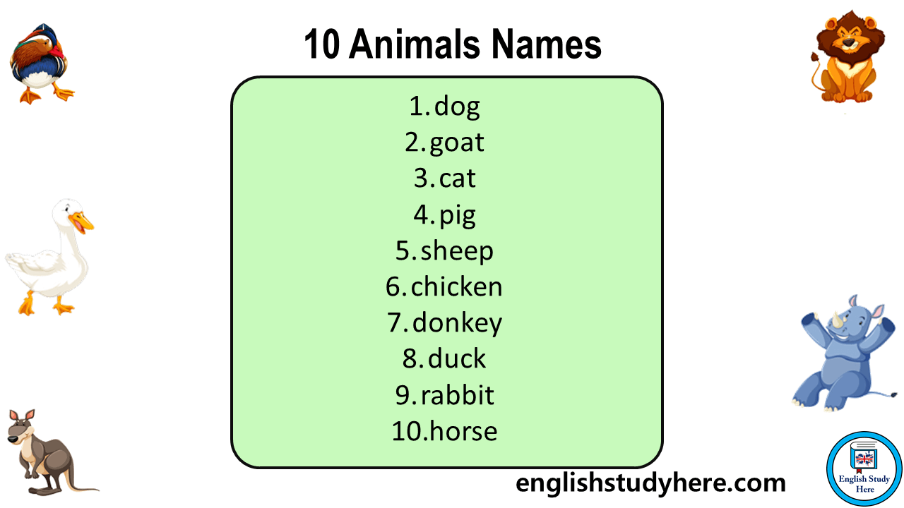 10 Animals Names, Animals Names List English Study Here