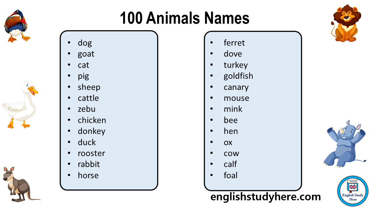 100 Animals Names, Animals Names List English Study Here