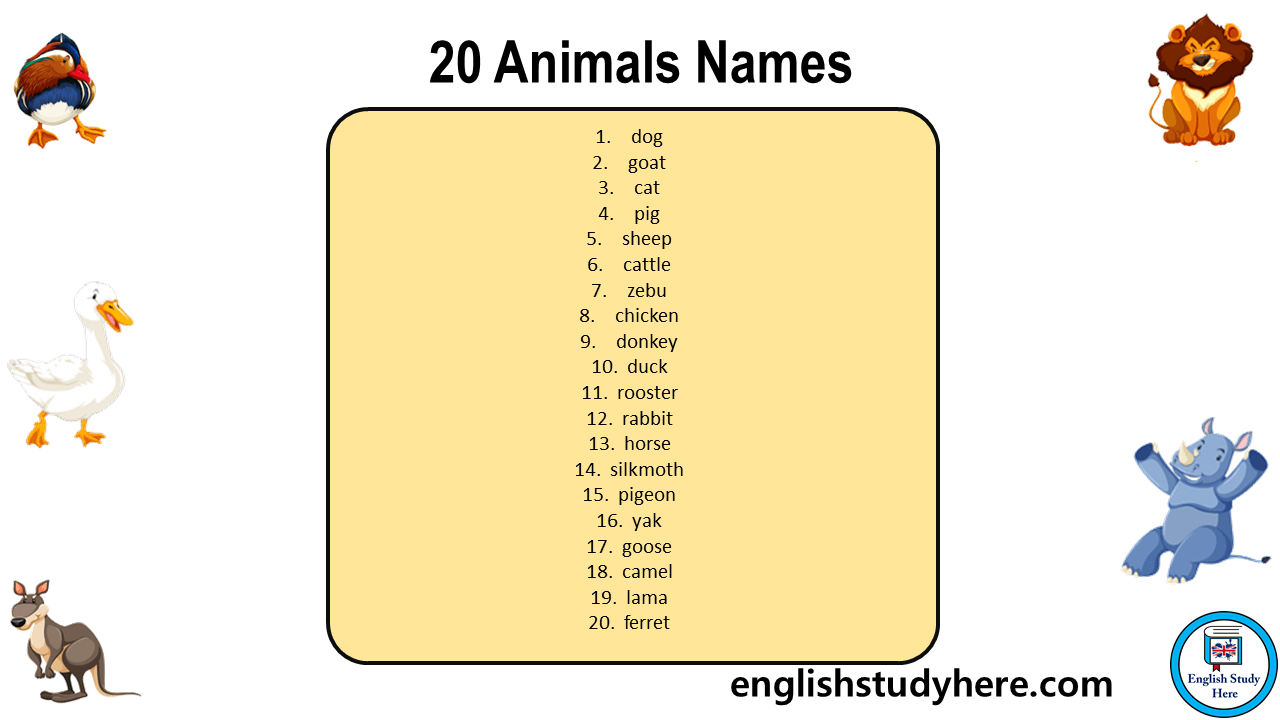 20 Animals Names, Animals Names List English Study Here