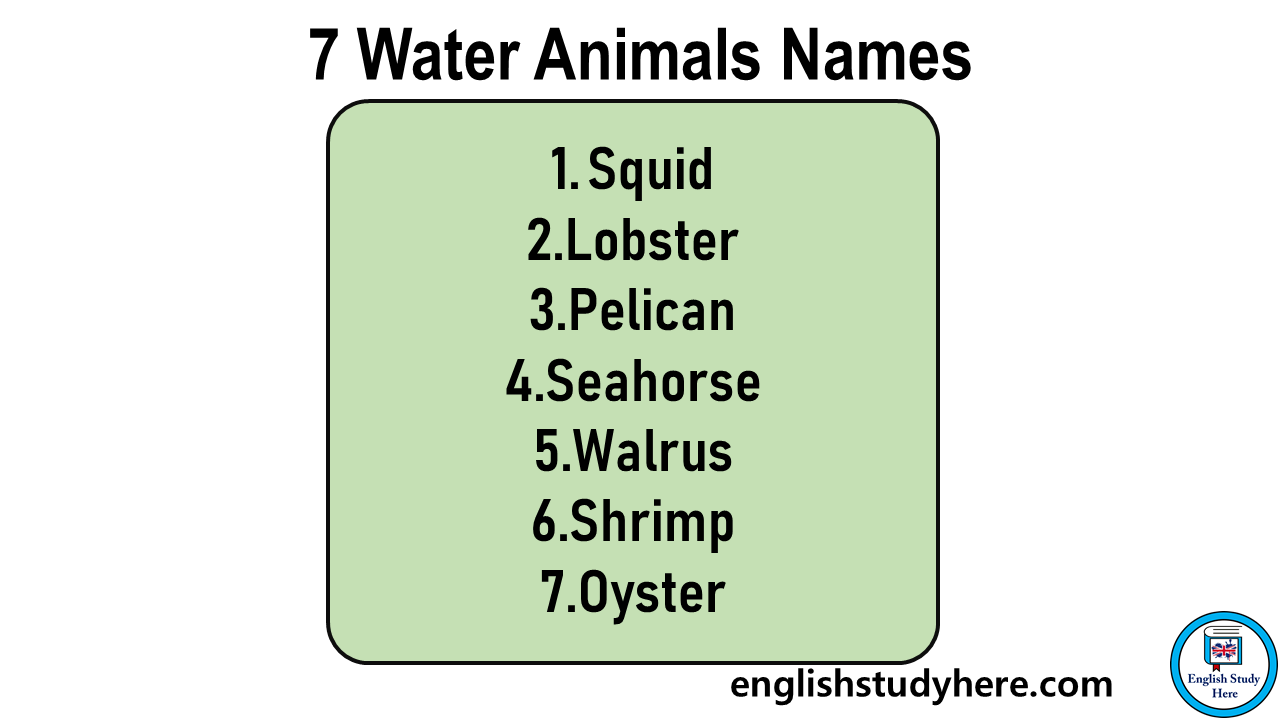 7 Water Animals Names in English English Study Here
