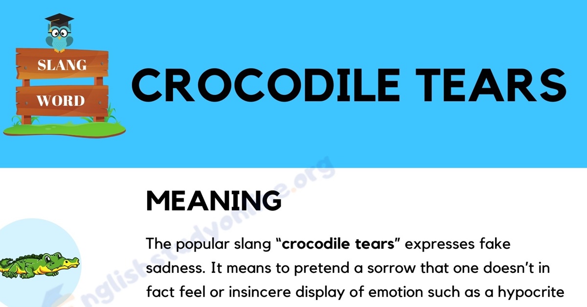 Crocodile Tears Definition, Origin & Practical Examples in English
