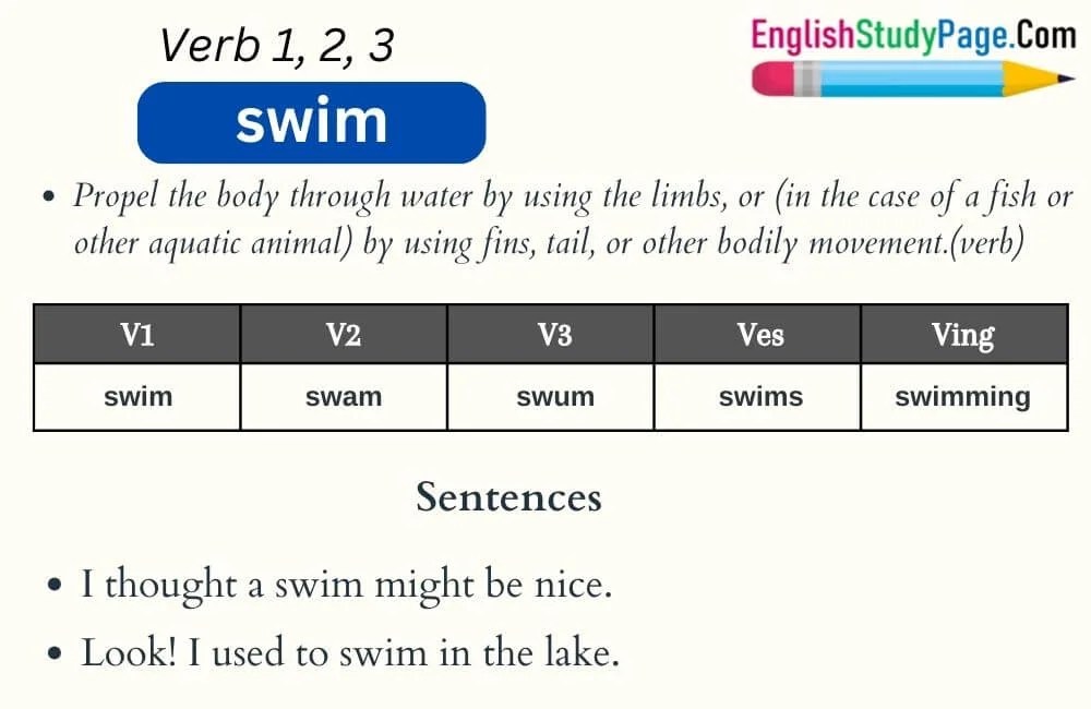 Swim Verb 1 2 3, Past and Past Participle Form Tense of Swim V1 V2 V3