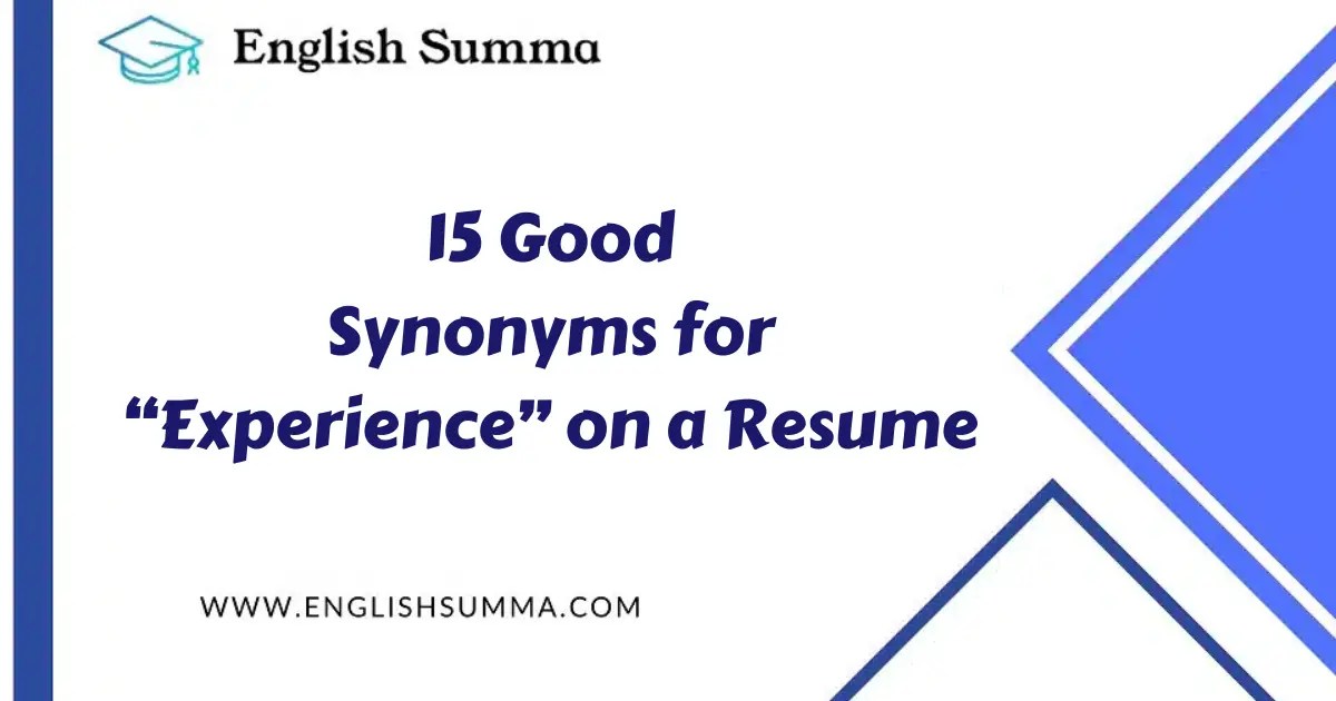 15 Good Synonyms for “Experience” on a Resume English Summa