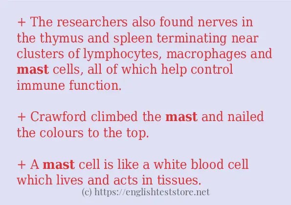 Example sentences of "mast" - EnglishTestStore Blog