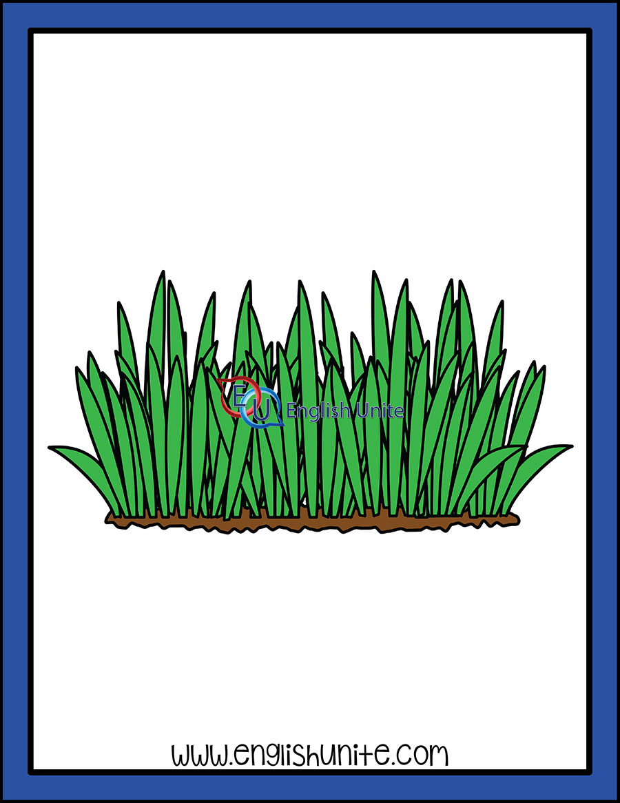 English Unite Grammar Noun Grass