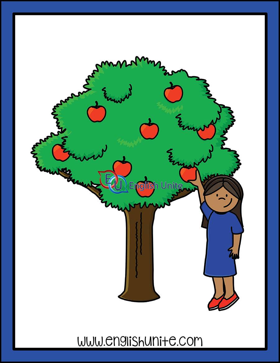 English Unite Present Tense Verb Pick