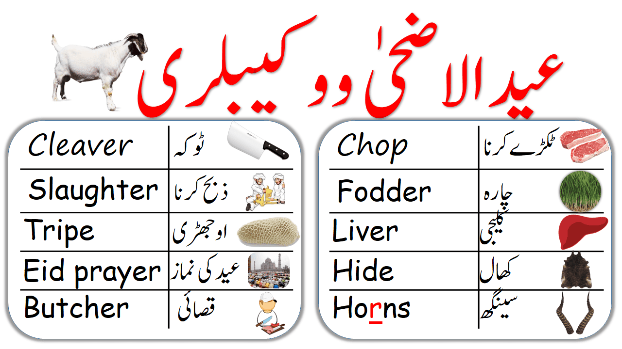 Eid ul Adha Vocabulary Words in English and Urdu • Engrary