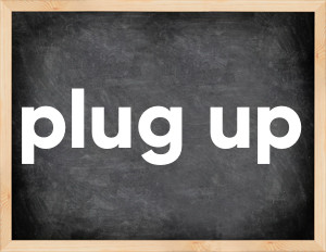 Plug up past tense and past participle in English. plug up verb forms