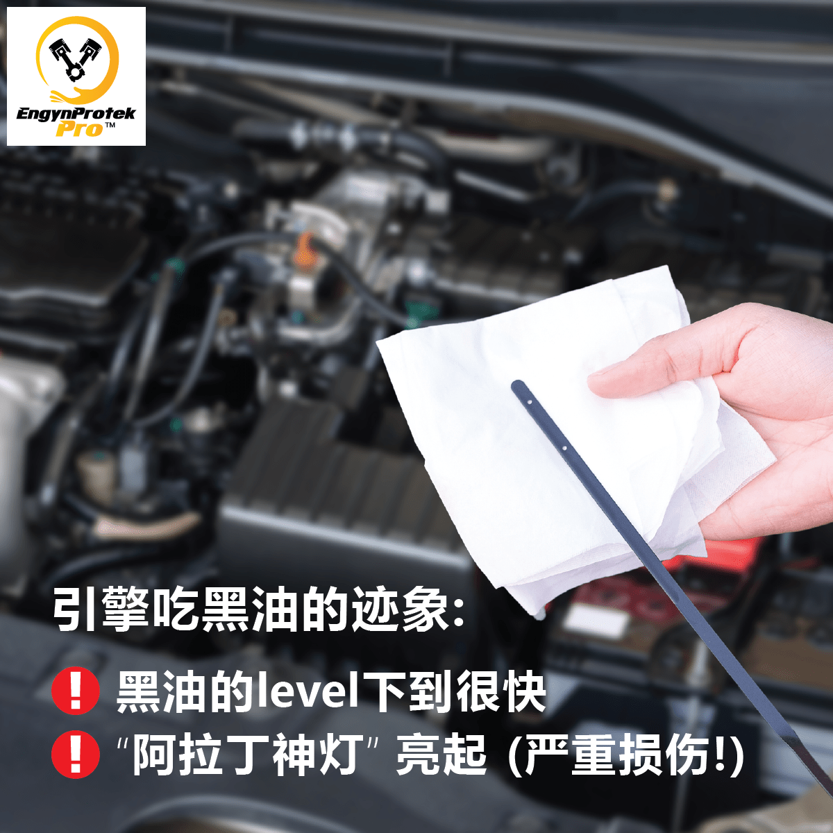 EPP RESEAL 引擎护理油 EngynProtek Pro Car Care Engine Treatment Specialist