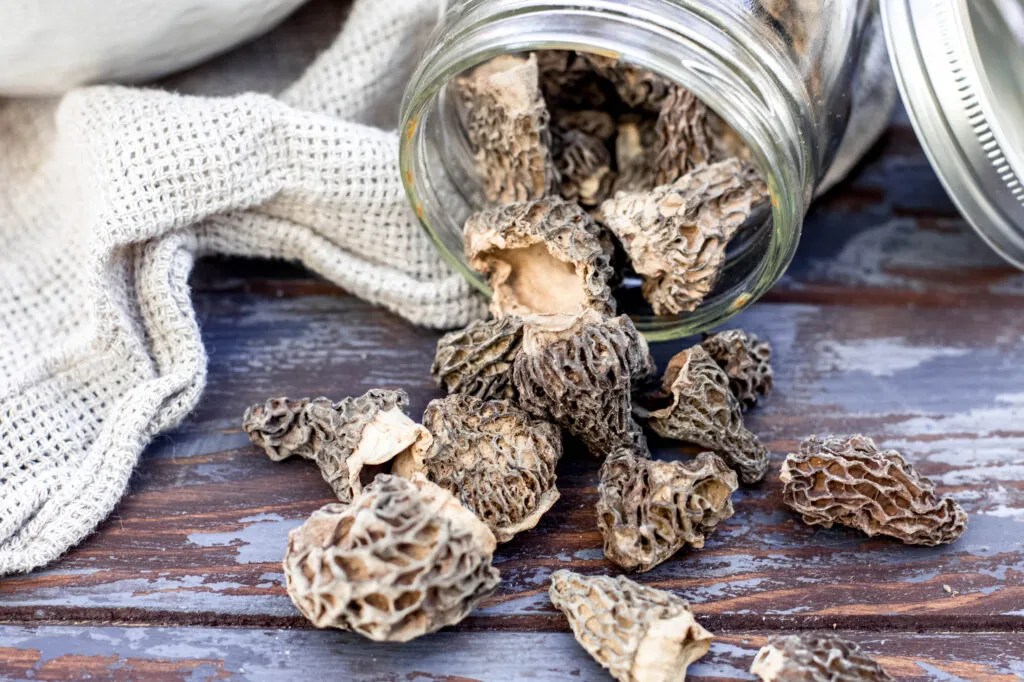 How to cook morel mushrooms How To Cook