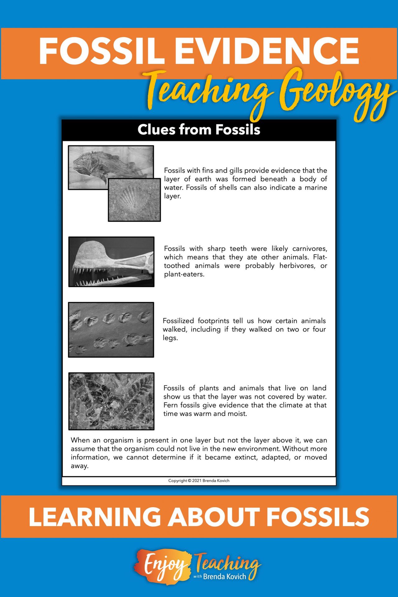 Teaching About Fossils Evidence in Layers of Sedimentary Rock