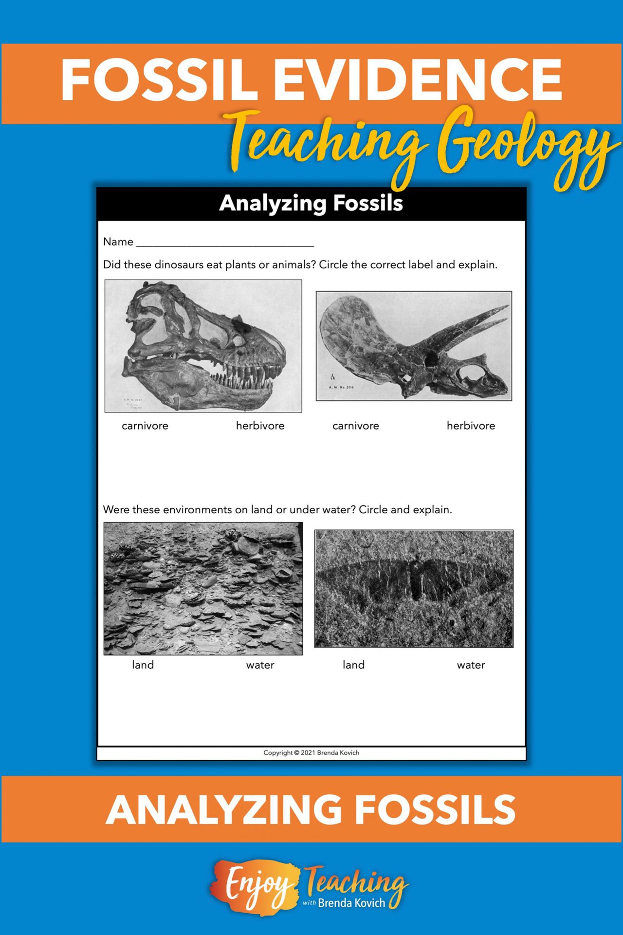 Teaching About Fossils Evidence in Layers of Sedimentary Rock