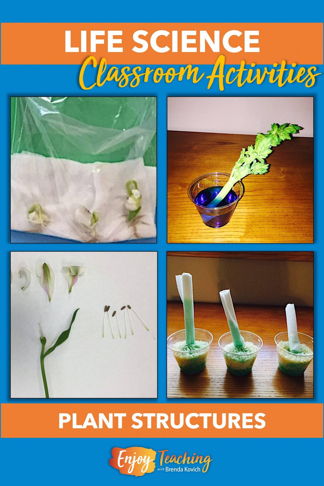 Teaching Life Science - Hands-on Activities & Projects