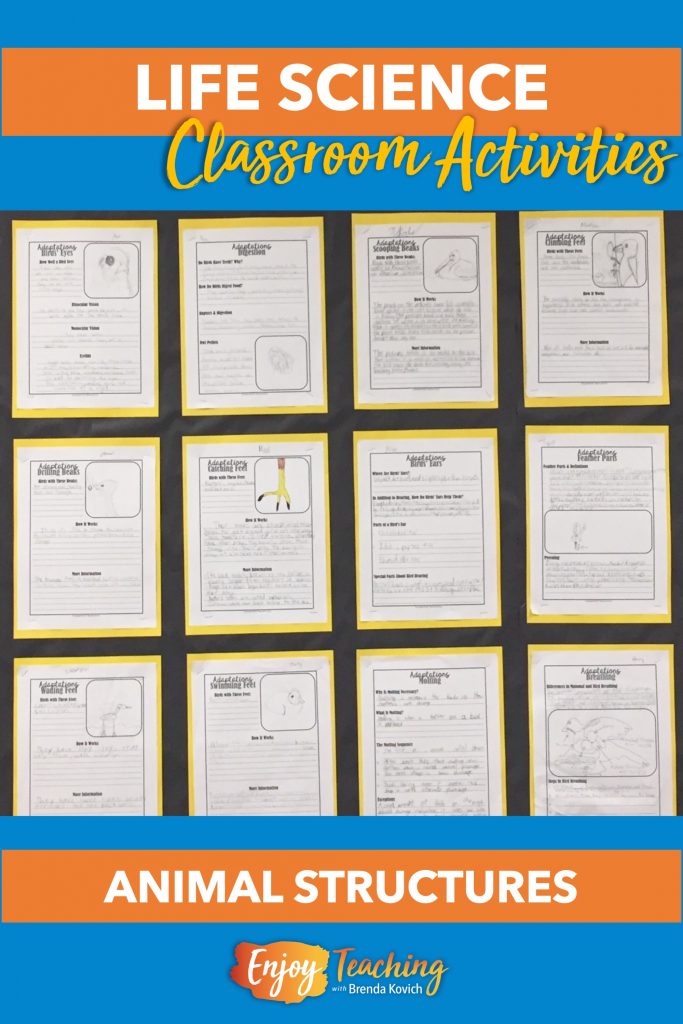 Teaching Life Science - Hands-on Activities & Projects