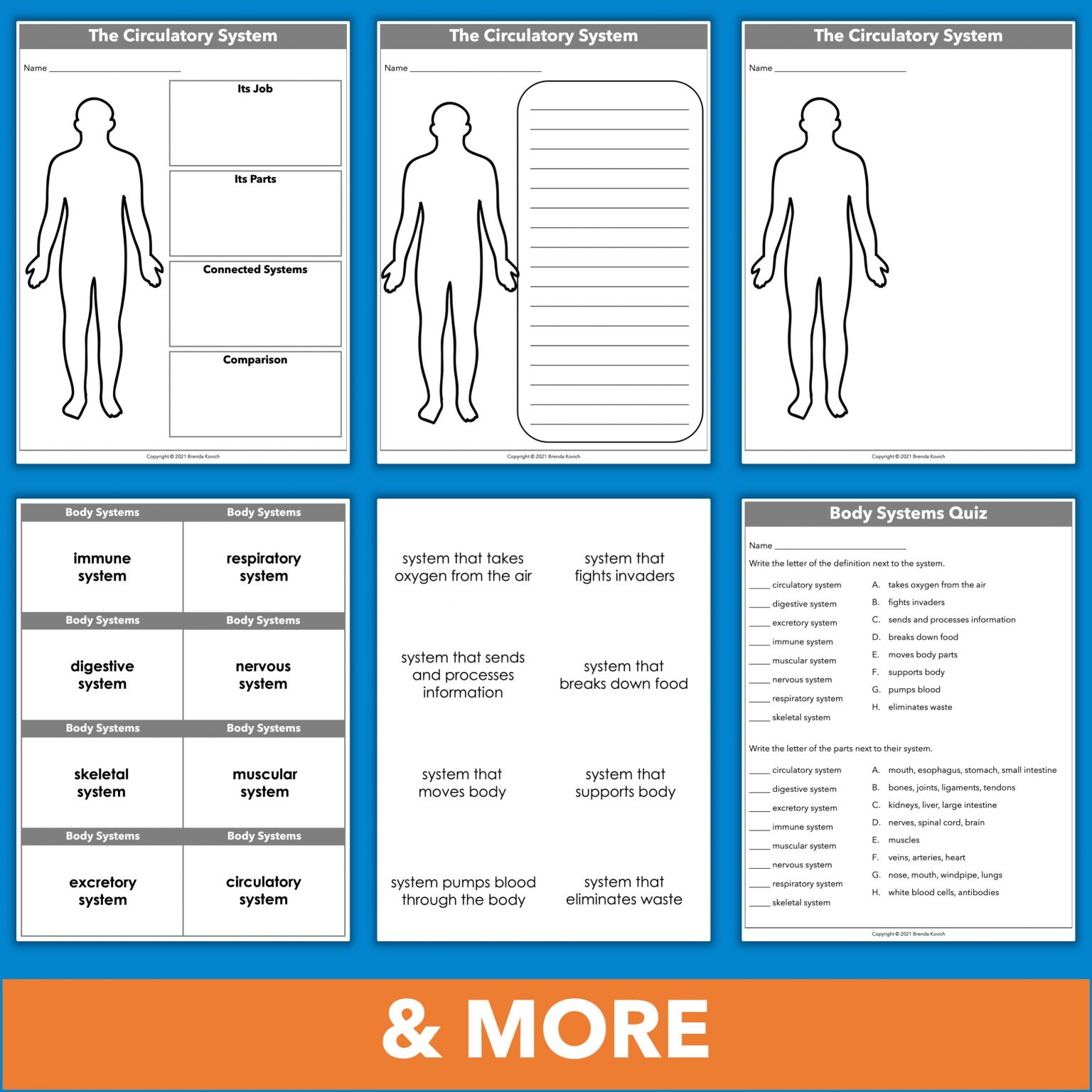 How to Build a Digestive System Model with Kids