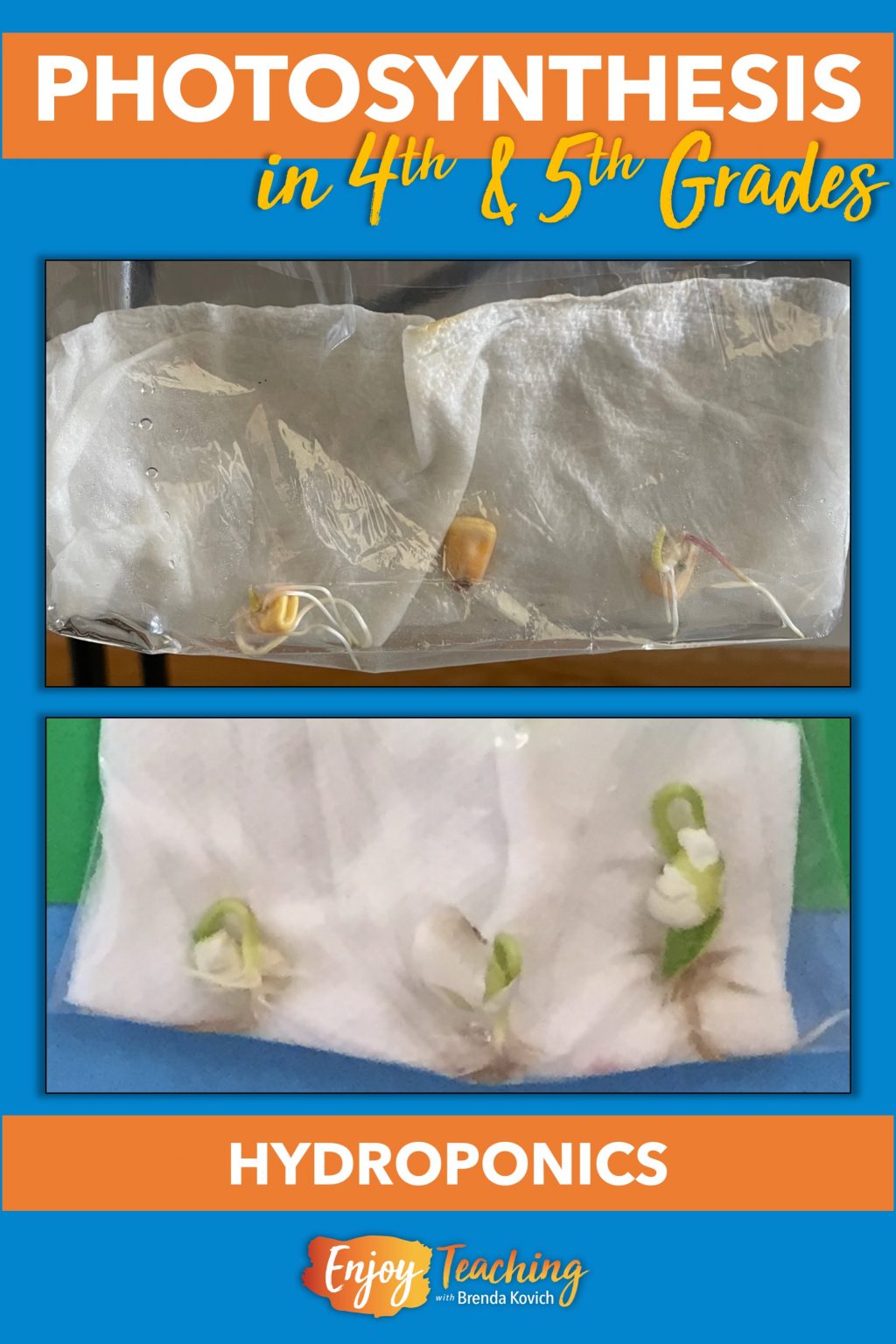 How to Teach Photosynthesis to Fourth and Fifth Grade Kids