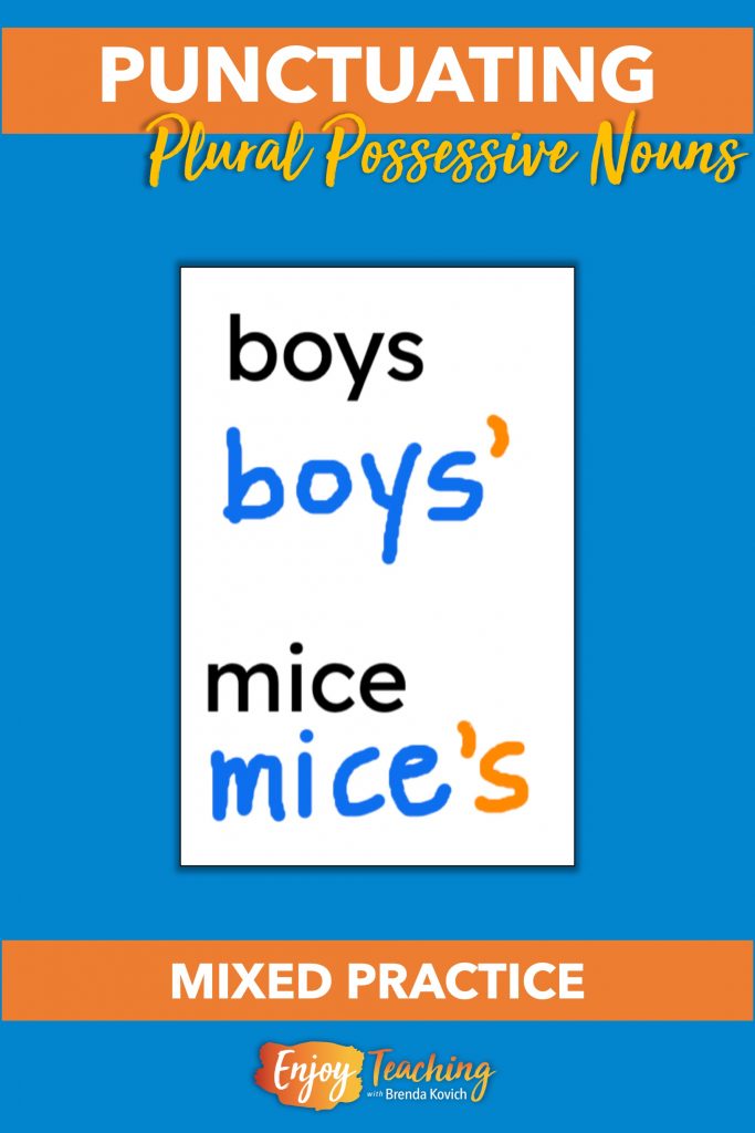 How to Teach Plural Possessive Nouns' Rules Without Tears