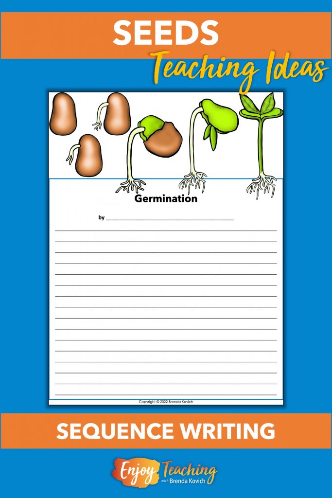 Amazing Ideas for Teaching About Seeds Germination & Dispersal