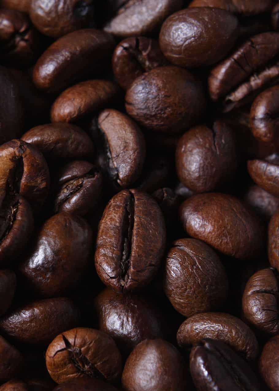 What is Robusta Coffee? Robusta vs Arabica 12 Differences EnjoyJava