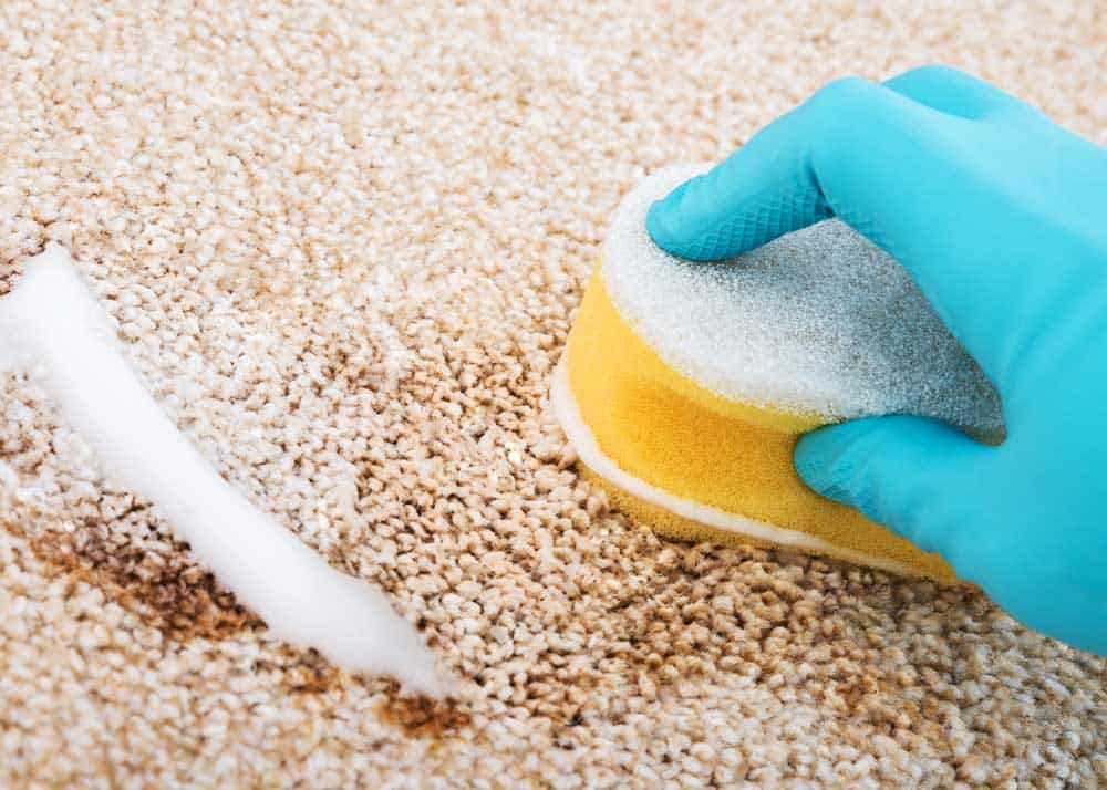 How To Clean A Coffee Stain On Carpet