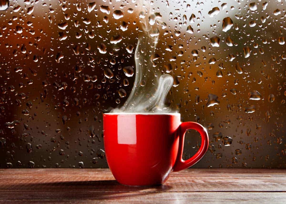 Tea vs Coffee Caffeine Levels Compared (9 Variables) 13 Types EnjoyJava