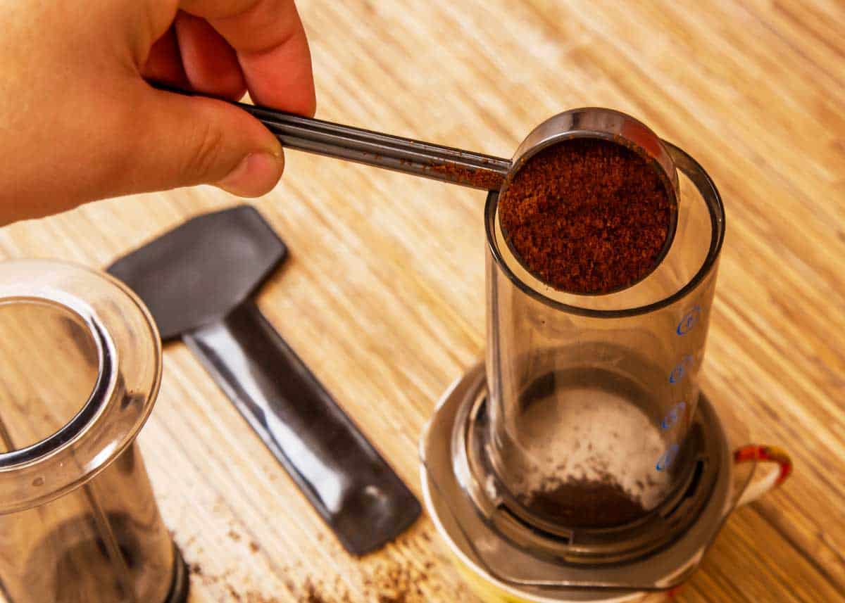 How to Make AeroPress Coffee 8 Steps for a Great Brew EnjoyJava