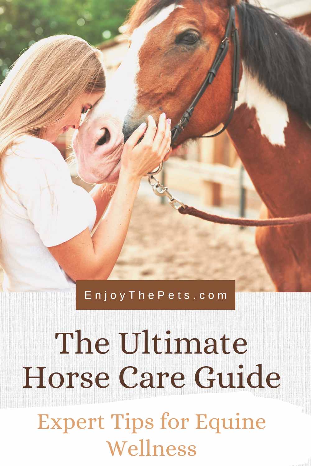 The Ultimate Horse Care Guide: Expert Tips for Equine Wellness - Enjoy