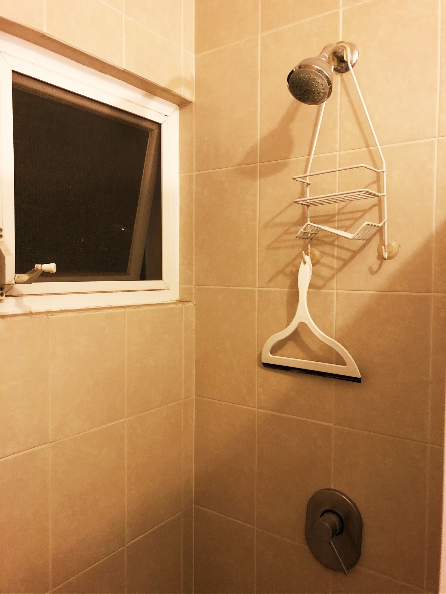 Mexicanshower 駐在員のブログ！！！ Expatriate employee blog！！！